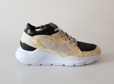 P448 Sneaker