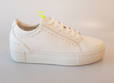 Red Rag Sneaker
